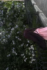 Проститутка Персик